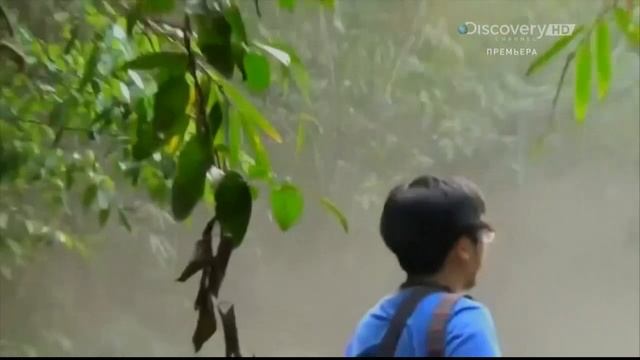 Хаос в действии: кадры очевидцев 4 серия (документальный сериал, 2015)