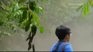 Хаос в действии: кадры очевидцев 4 серия (документальный сериал, 2015)