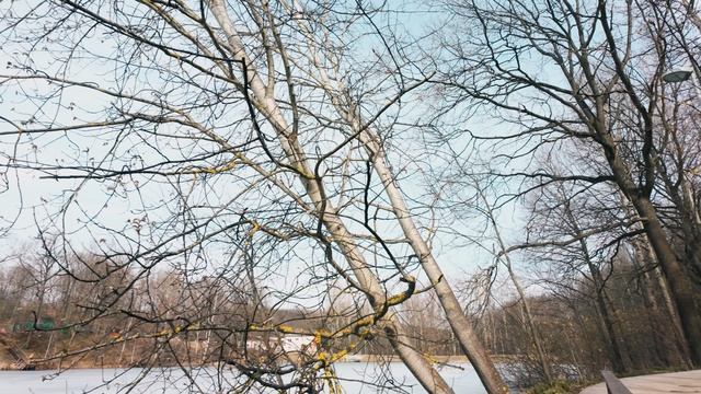 Щелоковский хутор весной (Нижний Новгород)