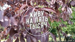 ЖИВУ НА 5 000 С ДВУМЯ ДЕТЬМИ ДЕНЬ 7
