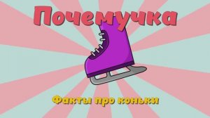 Почемучка - Факты про коньки. Детское развивающее видео.