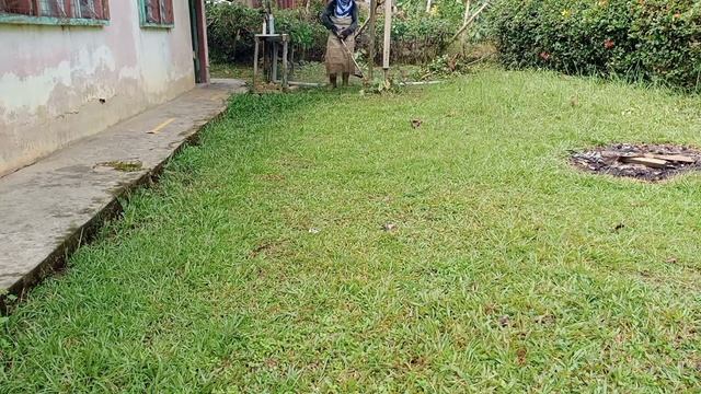 Potong Rumput yang pendek  pakai Tali Nylon Trimmer Mesin Rumput смотреть онлайн