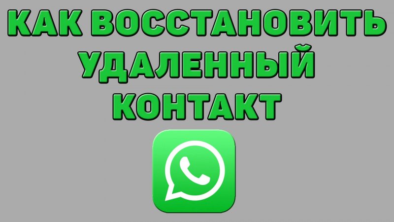 Как восстановить удаленный контакт в Ватсапе