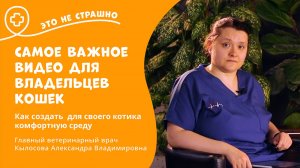 Это не страшно. Самое важное видео для владельцев кошек