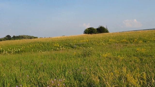 Идём пешком к церкви Покрова на Нерли. Храм XII века. Владимирская земля.