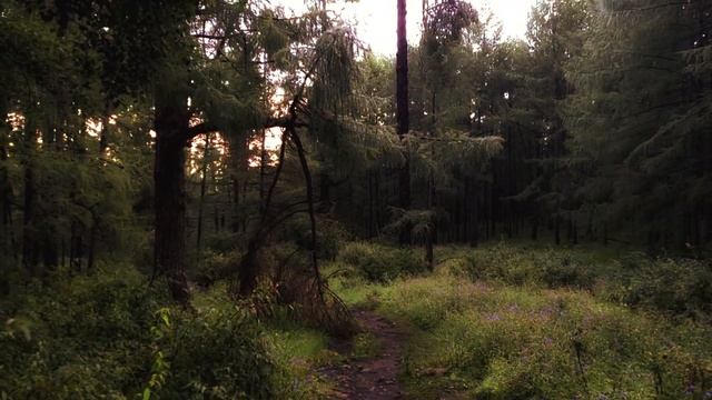 Are we living in a simulation? смотреть онлайн