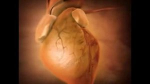 Чудовищные последствия "вредной привычки"