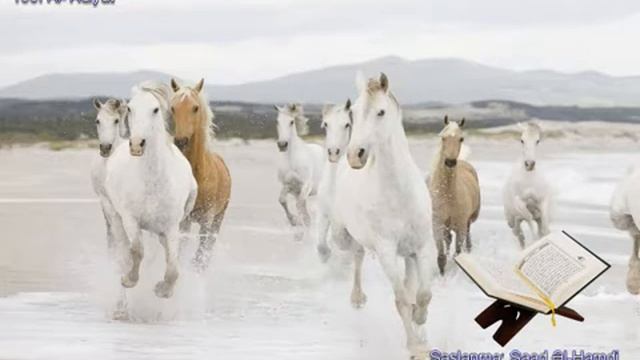 100. Сура Аль-Адият
Прекрасное чтение Корана Чтец: Саадом Аль Гамиди смотреть онлайн