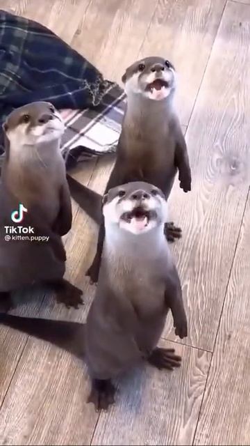 Три друганами смотреть онлайн