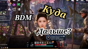 Куда дальше black desert mobile