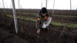 Мир сельского хозяйства. №71 Сады 01.04.2025