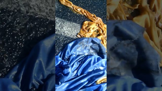 Сожжение флага бывшей украины-НЕДОГОСУДАРСТВА