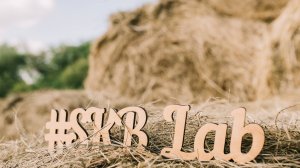 Субботник компании SKB LAB