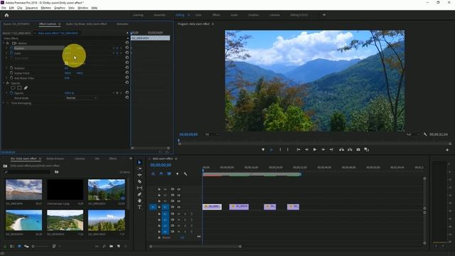 DOLLY ZOOM Transitions | Dolly Zoom Effect Tutorial in  Premiere Pro | Vertigo Effect | Aksh TFL | смотреть онлайн