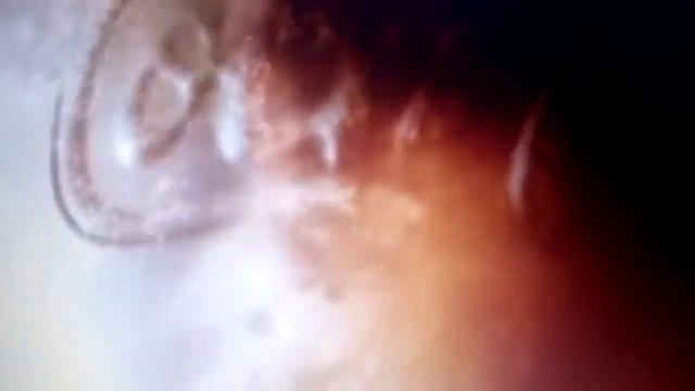 Sochi 2014 Olympic Torch Relay presented by Coca-Cola - Estonian смотреть онлайн