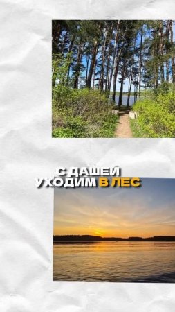 Как мы нашли ИДЕАЛЬНЫЙ дом в 600 метрах от реки?