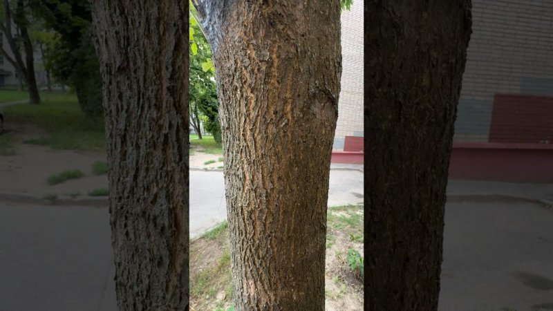 Новый тизер | музыка из трейлера к триллеру