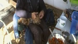 Волга  Паша 6