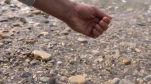 О смысле жизни