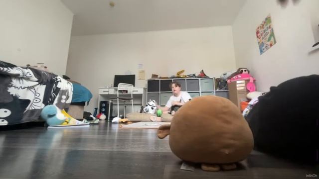 МОРЖ БРЮС ПРОТИВ ДАРТА ВЕЙДЕРА ( часть 2 ) смотреть онлайн