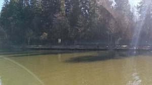 Голицыно Fish 4 апреля 2025