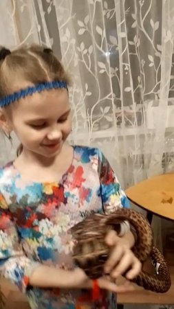 Вот какие питомцы! Две кобры!