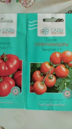 Сеем томаты на рассаду