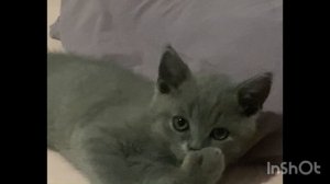 video-output-A3168911-6BDF-4B3B-9E25-C343831CA3F7-1