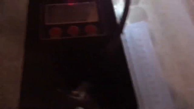 2020 Pheasant Incubation смотреть онлайн