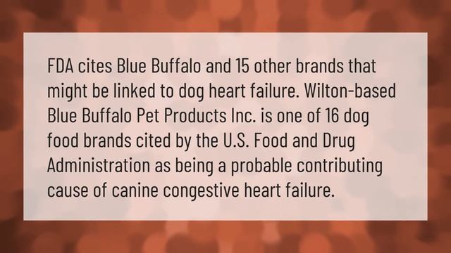 What is wrong with Blue Buffalo dog food?