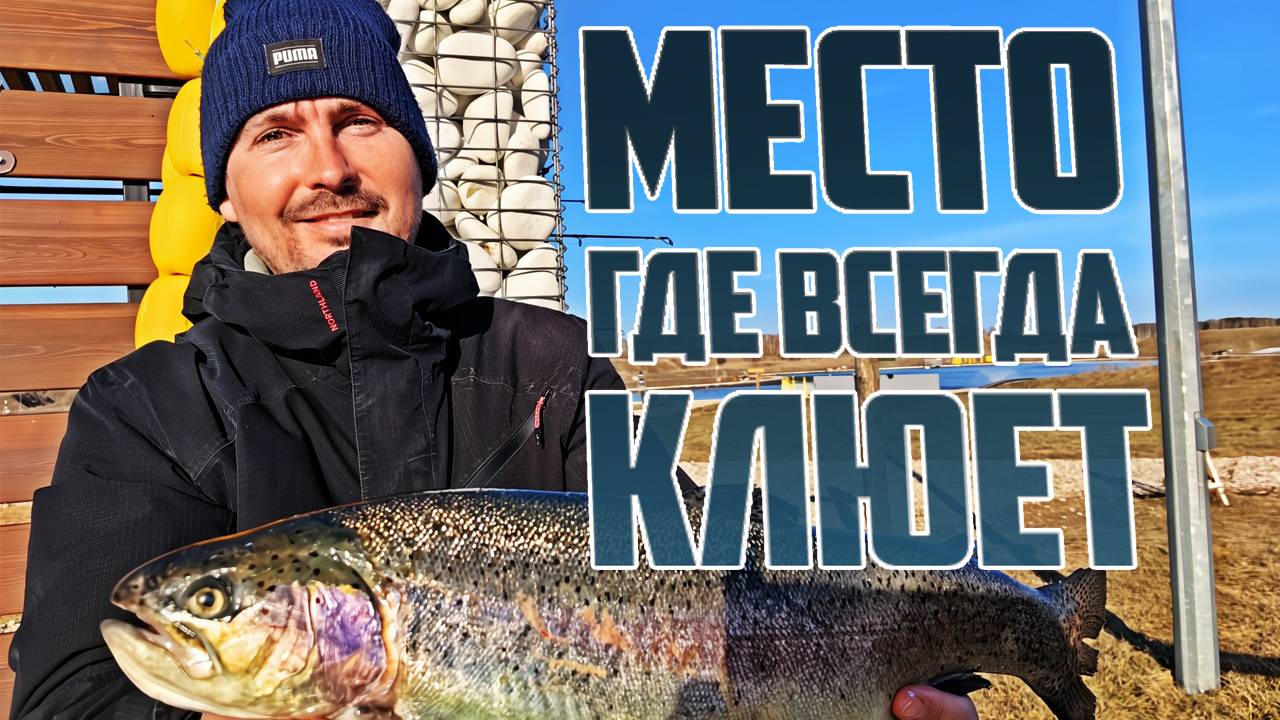 Рыбалка на форель. Отличный клев. Открыл сезон