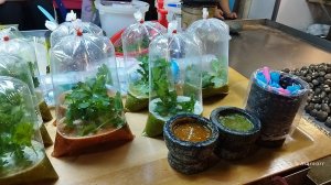 чонбури. просто набережная ang sila อ่างศิลา ч.4. рынок ตลาดประมงพื้นบ้าน seafood market