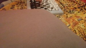 Шахматы с Орлом