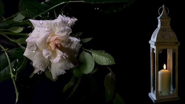 BLUES_ Suave Melodia De Blues__ Slow Blues.