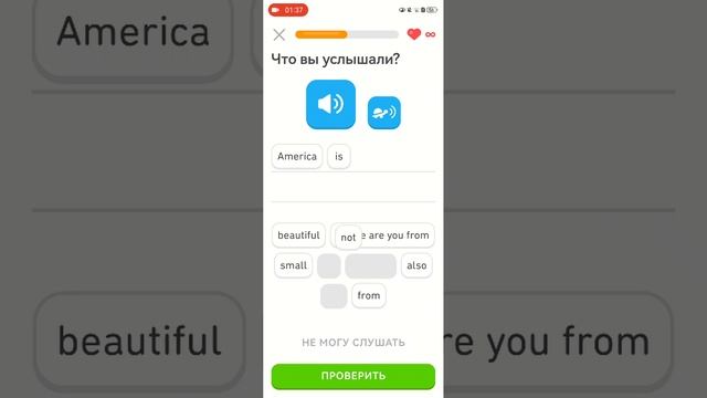 вторая часть Duolingo