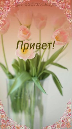 Привет!