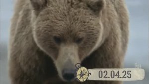 02_04_25_Не_можете_научим,_не_хотите_заставим,_будете_сопротивляться