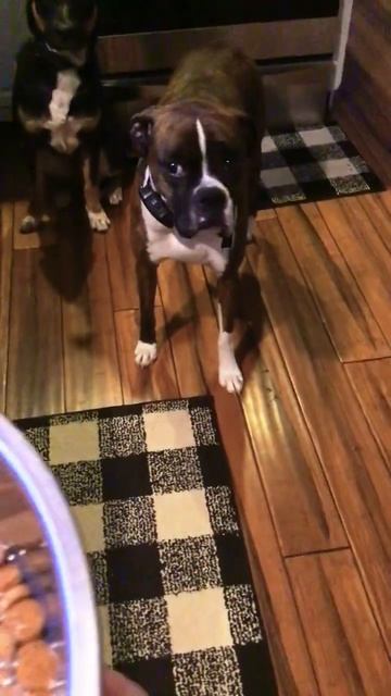 January 13, 2023 смотреть онлайн