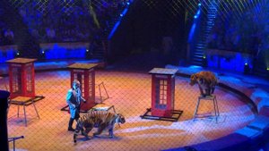 Great Moscow Circus/Большой Московский цирк. Эпицентр Мира. Дождливая Англия
