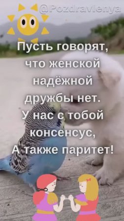 Прости меня, подруга! О женской дружбе!