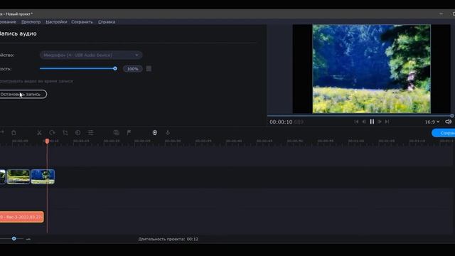 ОЗВУЧИВАНИЕ ВИДЕО В MOVAVI