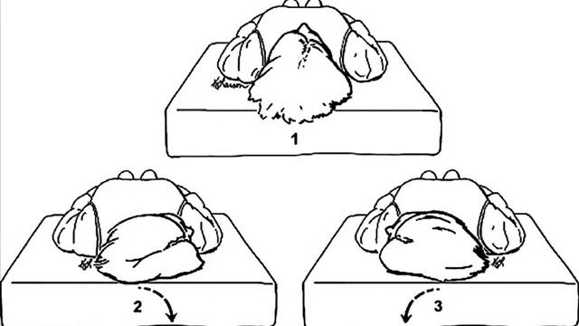 Horizontal Roll Test