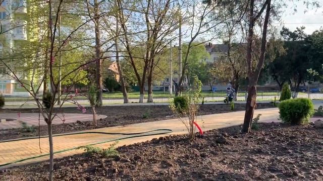 В сквере по ул. 1-я Пятилетка высаживают растения смотреть онлайн