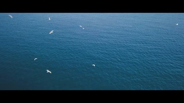 Baia Salima Kemer │ 2023 We are nature #baiasalimakemer смотреть онлайн