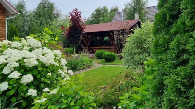 5 важных дел, которые изменили наш САД за 1 сезон. КАК МЕНЯЛСЯ НАШ САД в 2023 году. смотреть онлайн