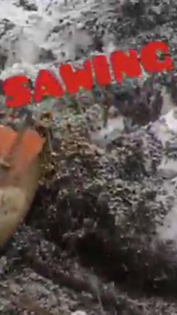 SAWING