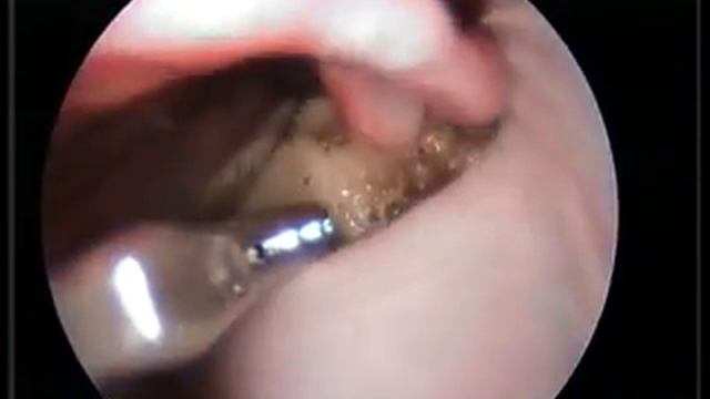 20130118 111325 SVideo 1 смотреть онлайн