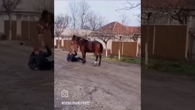 VID-20250404-WA0037