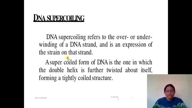 PROKARYOTIC GENOME ORGANIZATION