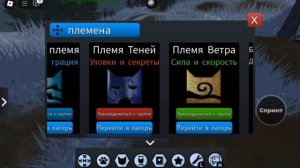 как найти шарф мудреца в WC:UE коты-воители roblox